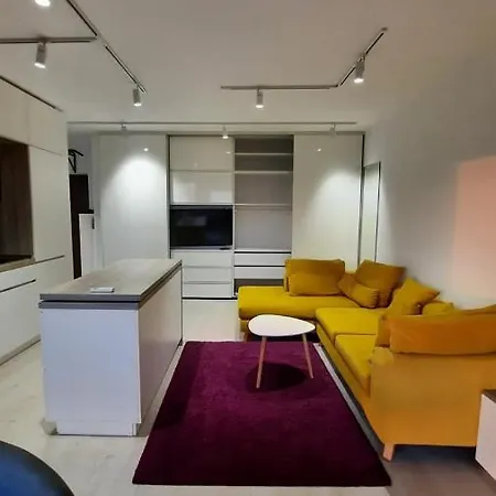Apartament Rebreanutowers 2 *