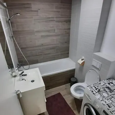 Apartament Rebreanutowers 2